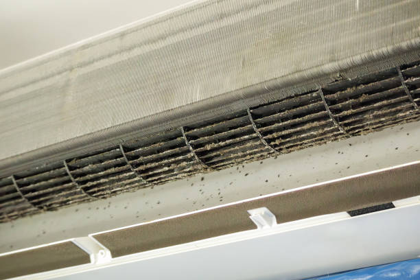 Best Local Air Duct Cleaning Services  in Marlton, MD